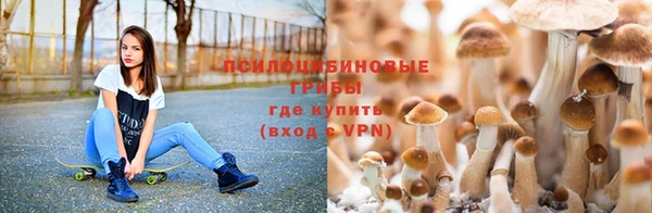 мет Надым