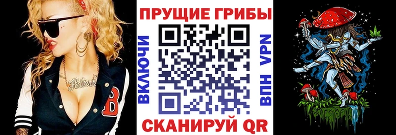 Псилоцибиновые грибы мухоморы  закладка  Орехово-Зуево 